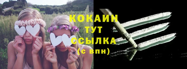 ПСИЛОЦИБИНОВЫЕ ГРИБЫ Белоозёрский