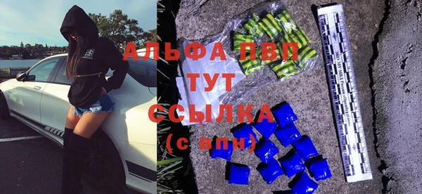 ПСИЛОЦИБИНОВЫЕ ГРИБЫ Белоозёрский