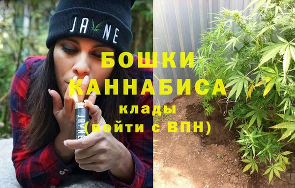 ПСИЛОЦИБИНОВЫЕ ГРИБЫ Белоозёрский