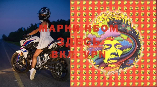 ПСИЛОЦИБИНОВЫЕ ГРИБЫ Белоозёрский