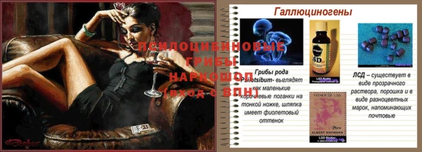 ПСИЛОЦИБИНОВЫЕ ГРИБЫ Белоозёрский