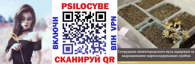 Галлюциногенные грибы мицелий  Красноперекопск 